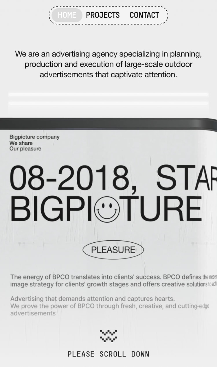 Bigpicture Company mobile